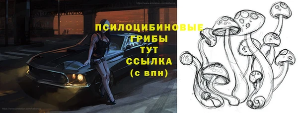 гашик Наволоки