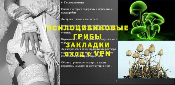 МДПВ Надым