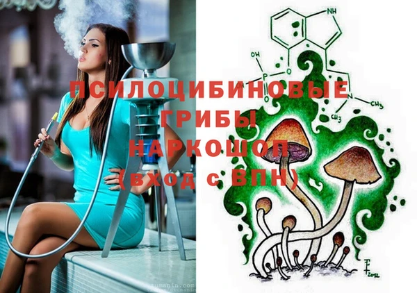 гашик Наволоки