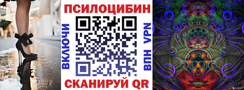Псилоцибиновые грибы мицелий  Фрязино 
