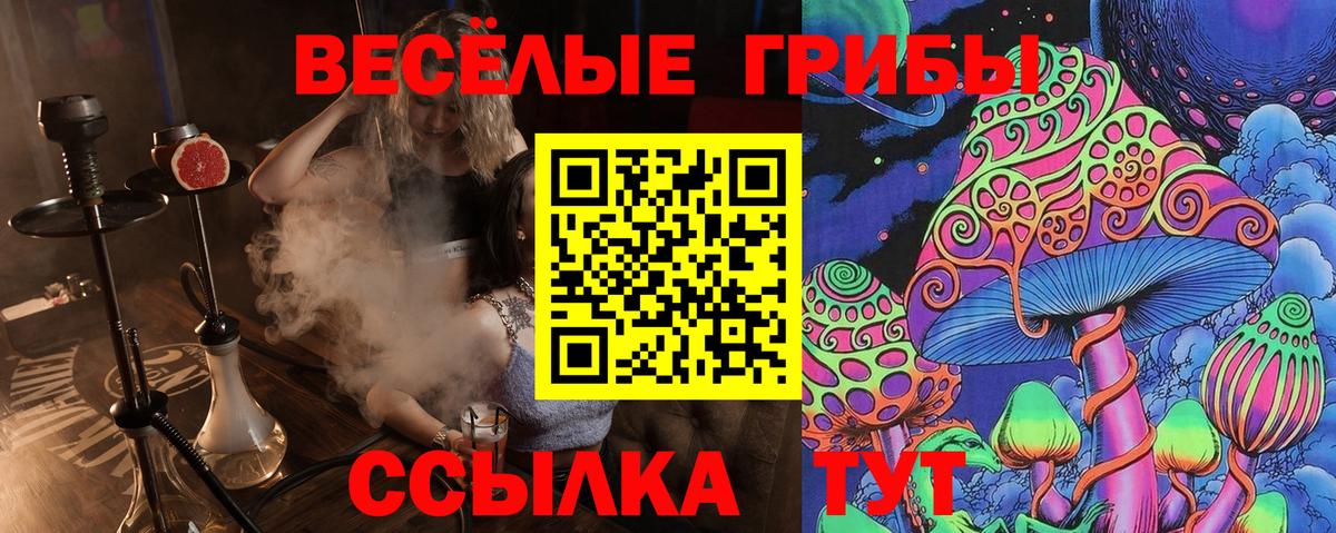 Псилоцибиновые грибы мухоморы  Вход с VPN  Фрязино  Псилоцибиновые грибы Psilocybine cubensis 