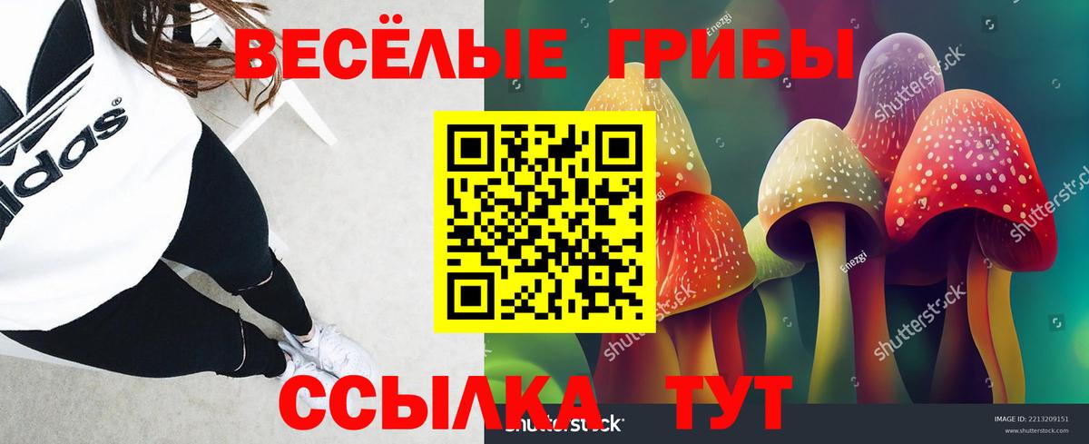 Псилоцибиновые грибы Psilocybe Фрязино